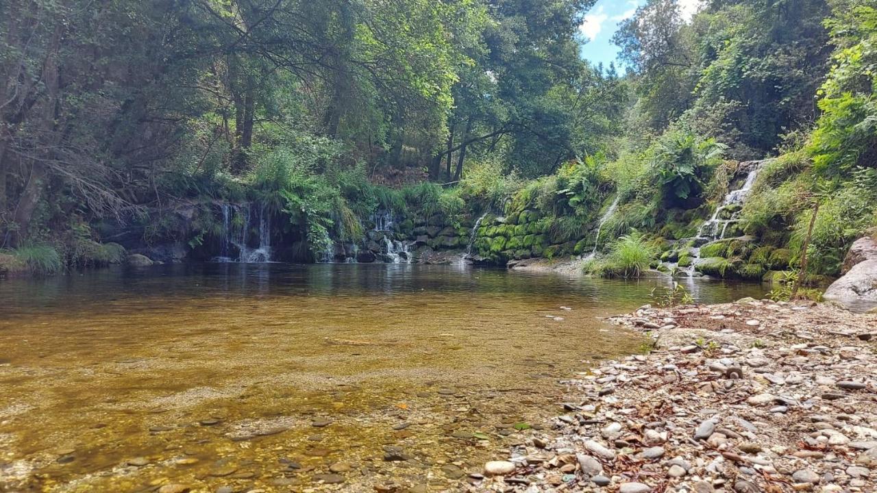 Sitio Dos Cogumelos Alojamentos Amarante Luaran gambar