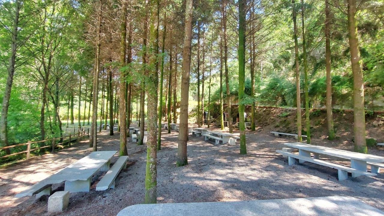 Sitio Dos Cogumelos Alojamentos Amarante Luaran gambar